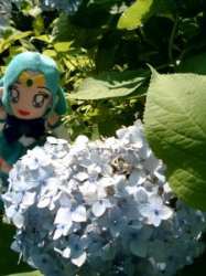 �~�J�̐���ԂƂ����Ă��Ƃ��Ă�������`