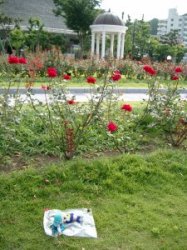 ���������ł�c�䕗�̗\����