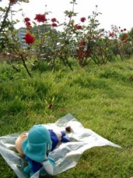 �|�b�|���`