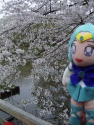 ���Ȃ�������Ă܂����